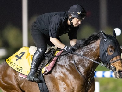 Preview: Battle Of The Lords In The Gr.1 Dubai Turf Image 1