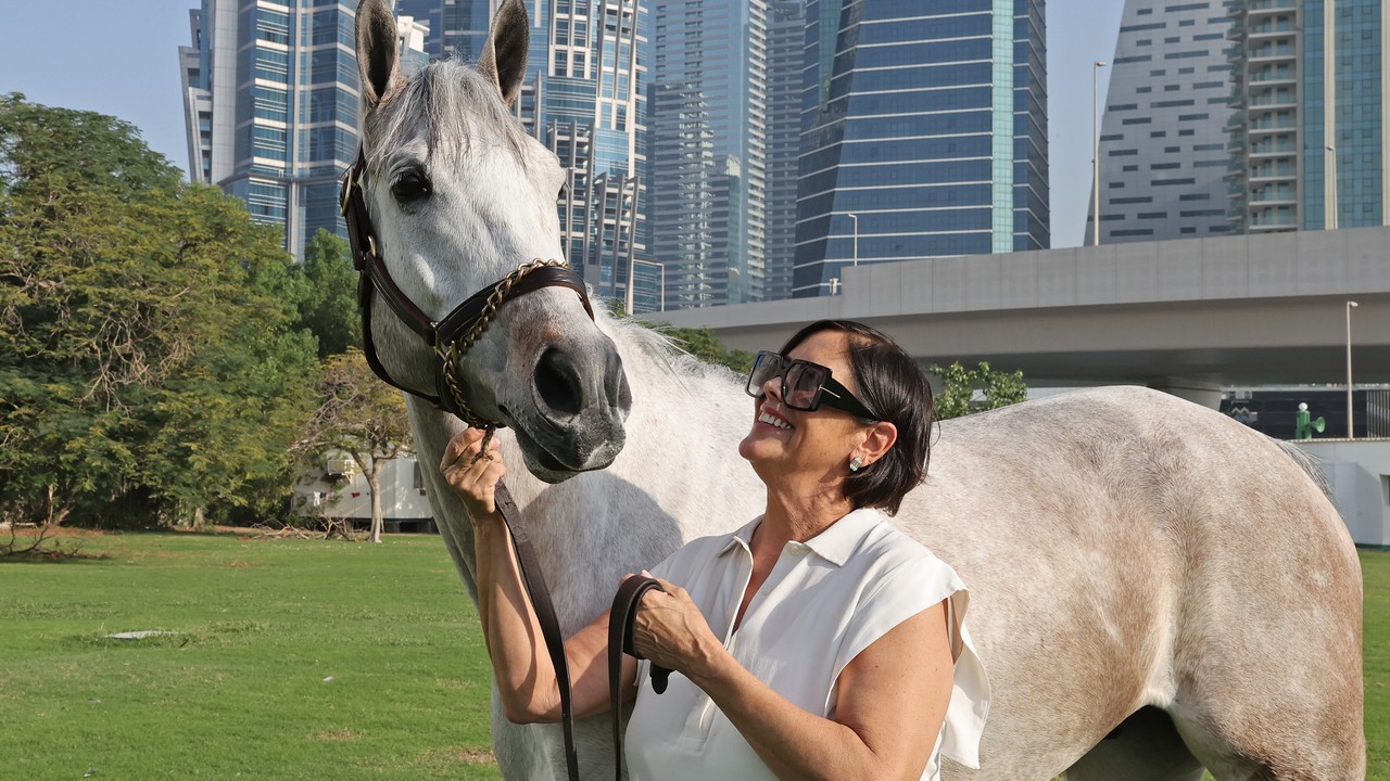 Deborah Mihaloff Has Pair Of Horses Ready For Success In ... Image 1