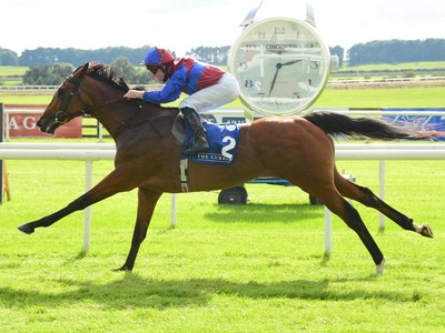 Aidan O'Brien Verifies Turf Allocation For Luxembourg Image 1