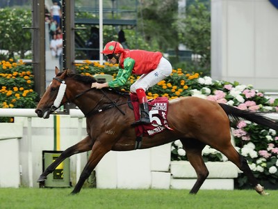 Invincible Sage Claims Victory In Gr.1 Chairman’s Sprint ... Image 1