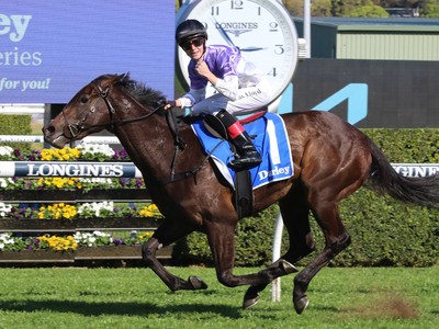 I Am Invincible's Stud Fee Reduced By Yarraman Park Image 1
