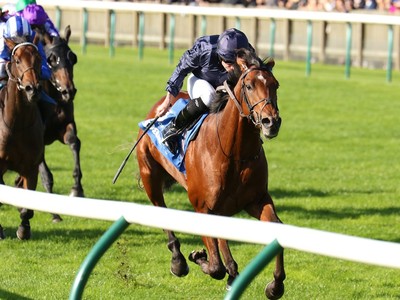 City Of Troy Leads Field In Quest For 2000 Guineas Victory Image 1