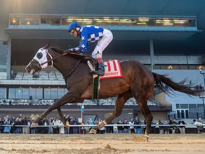 Hoist the Gold Aimed At Stakes Race Back At Churchill Downs ... Image 1