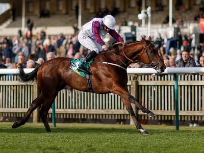 Variable Outcomes At Tattersalls Guineas Sale Image 1