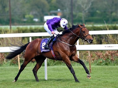 Dallas Star Heads Towards The Epsom Derby Image 1