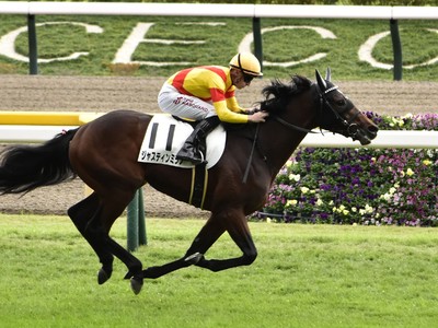 Three Early Favorites Emerge For Japanese Derby Image 1