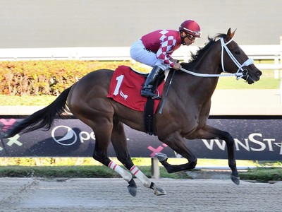 Withers Stakes Victor Uncle Heavy Set for Preakness ... Image 1