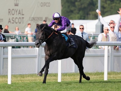 King Of Steel Tops Entries for Coronation Cup &amp; ... Image 1