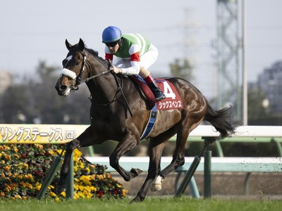 Undefeated Sixpence to Challenge Justin Milano in Tokyo ... Image 1