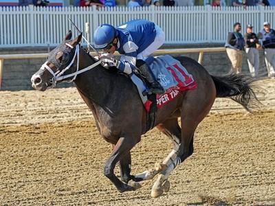 Stakes Contender Copper Tax Withdraws from Preakness Image 1