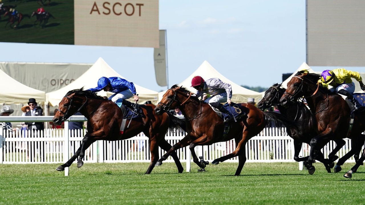 Review: Gr.1 St James's Palace Stakes Image 1