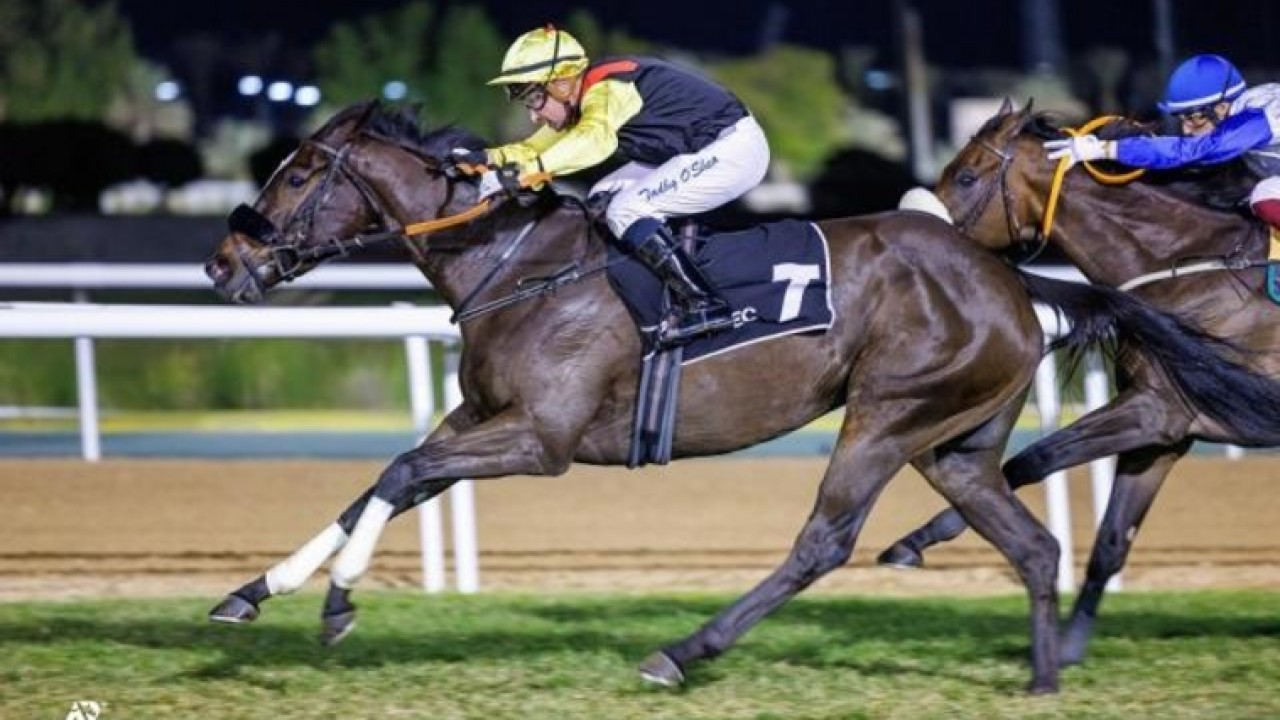Dobbs &amp; O’Shea Continue To Impress At Abu Dhabi Image 1