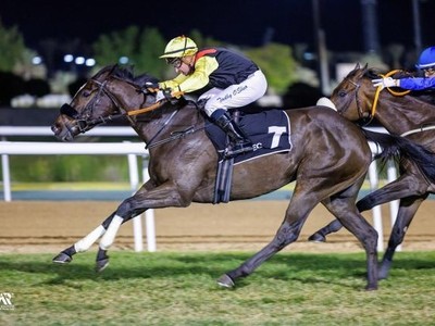 Dobbs &amp; O’Shea Continue To Impress At Abu Dhabi Image 1