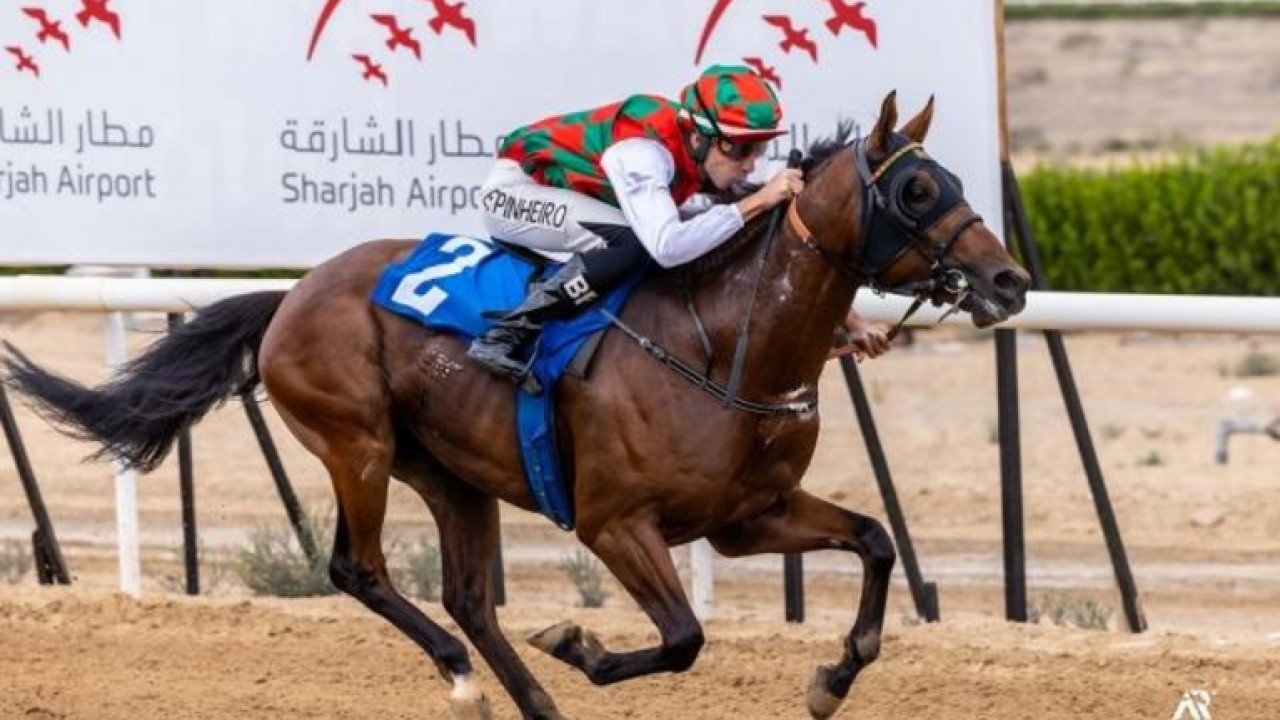 UAE Racing Ends Year With Pinheiro Partnered Jockey Trainer ... Image 1
