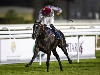 Best On Show In Ten-Race Qatar Oaks Meeting Image 1