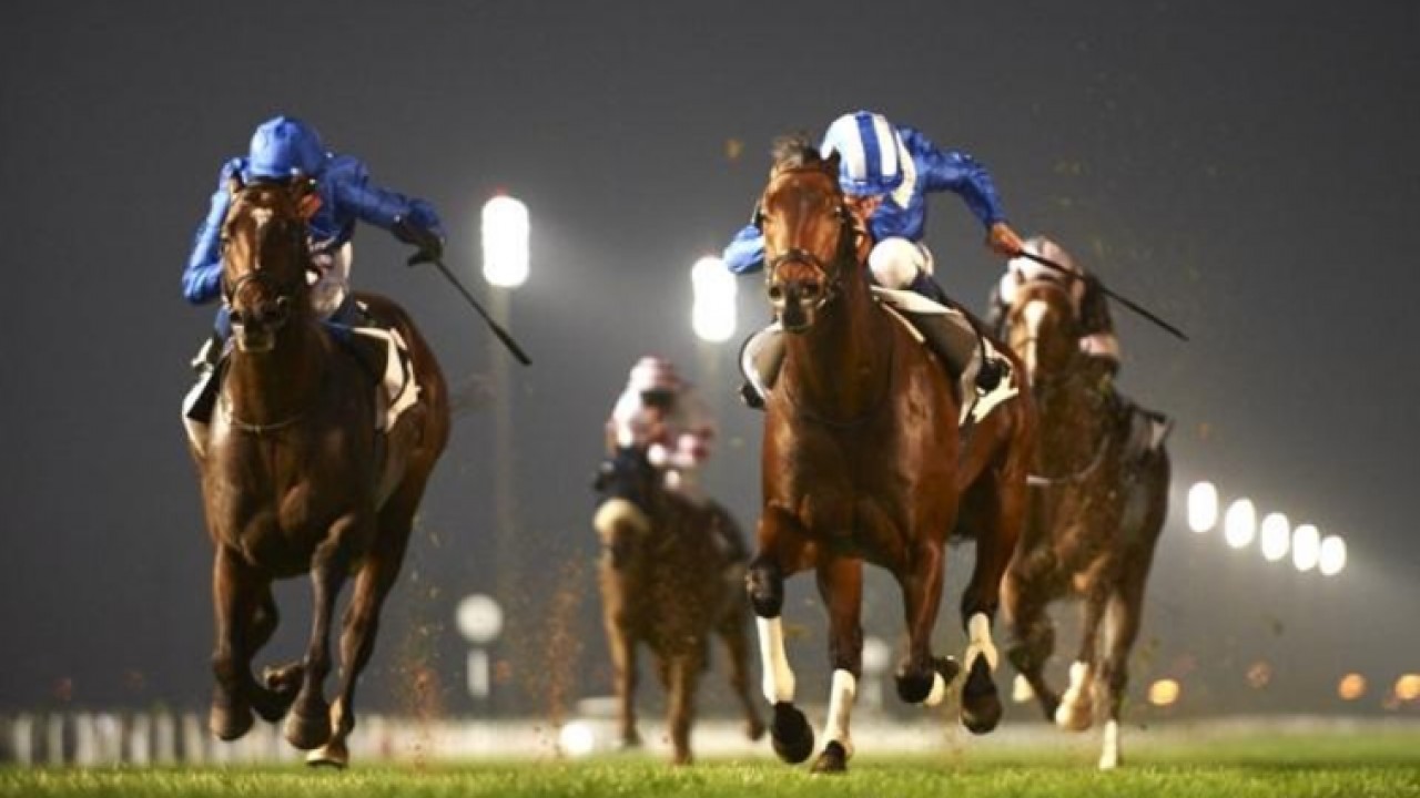 Meydan Race Name Honours Legacy Of The Late Great Ertijaal Image 1