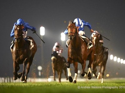 Meydan Race Name Honours Legacy Of The Late Great Ertijaal Image 1