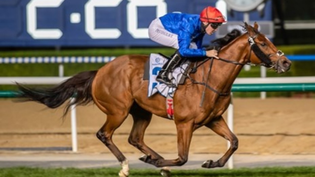 Quality Dubai Racing Club Field With Hopes From Bin Suroor ... Image 1