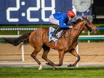 Quality Dubai Racing Club Field With Hopes From Bin Suroor ... Image 1