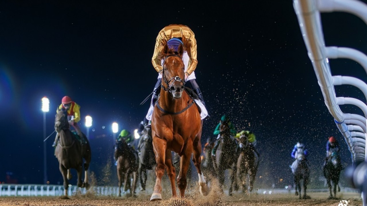 Meydan Meet Action Packed Launching Dubai World Cup Carnival Image 1