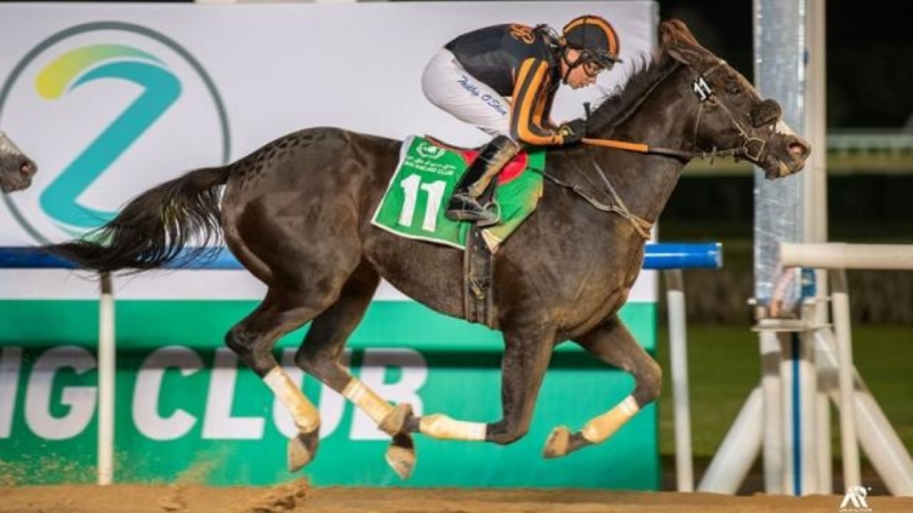 Meydan Meet Action Packed Launching Dubai World Cup Carnival Image 2