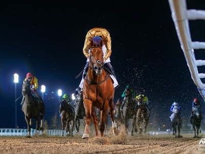 Meydan Meet Action Packed Launching Dubai World Cup Carnival Image 1