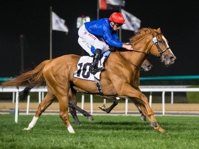 Sharjah Resumes With Strong Chance On The Warpath Image 1