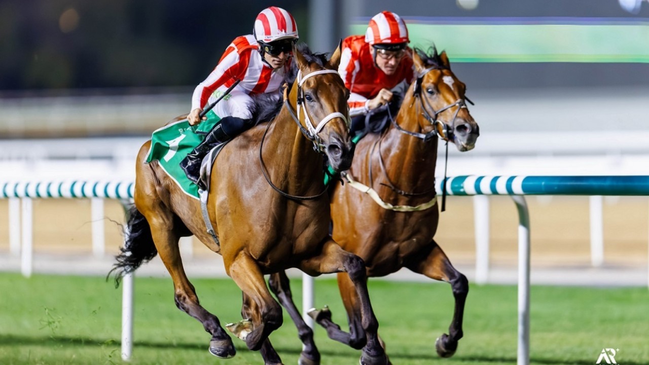 Meydan Terrific Treble For Watson And Dobbs Perfect ... Image 2