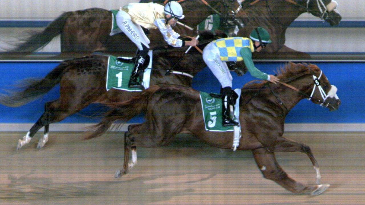 Meydan Terrific Treble For Watson And Dobbs Perfect ... Image 3