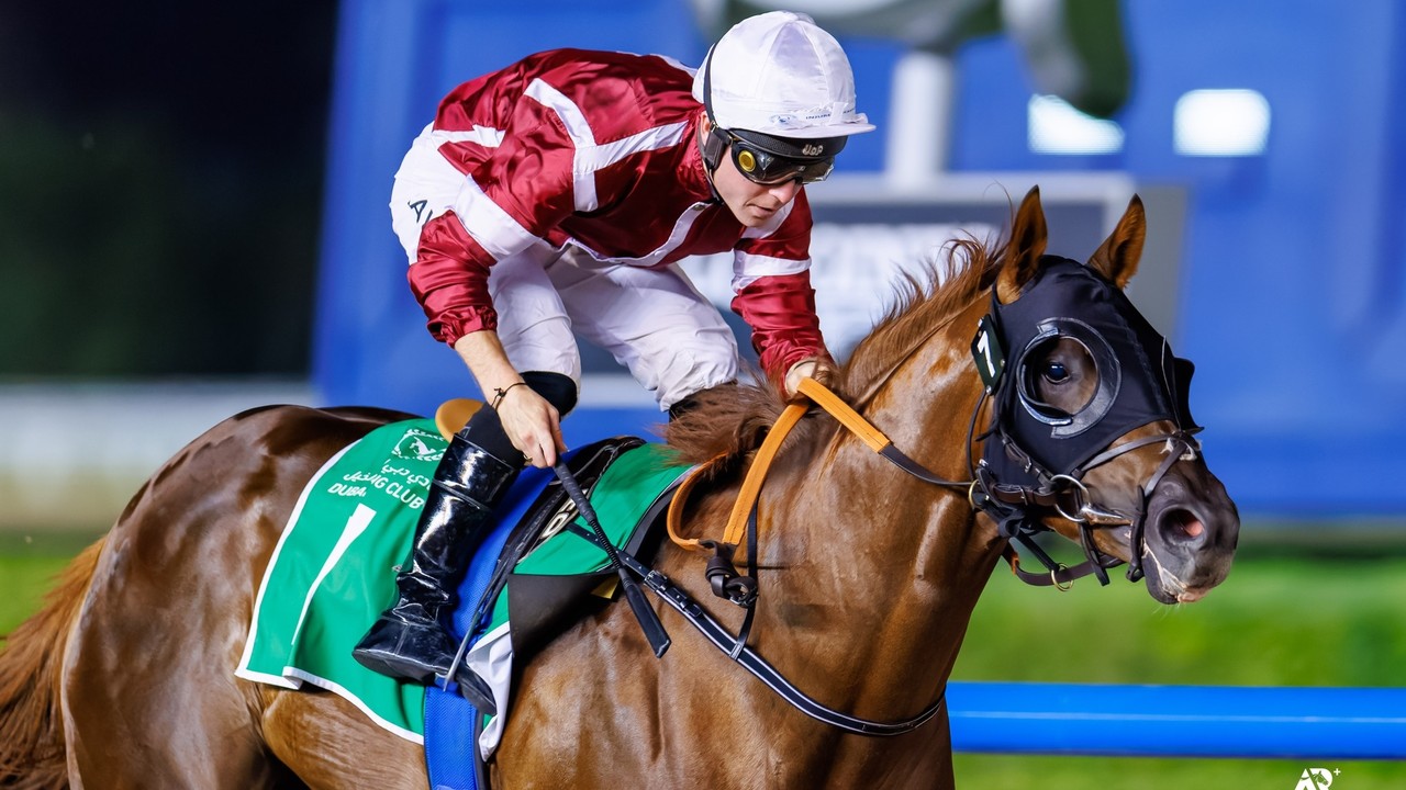 Bump To Ratings After Meydan Magic Image 1