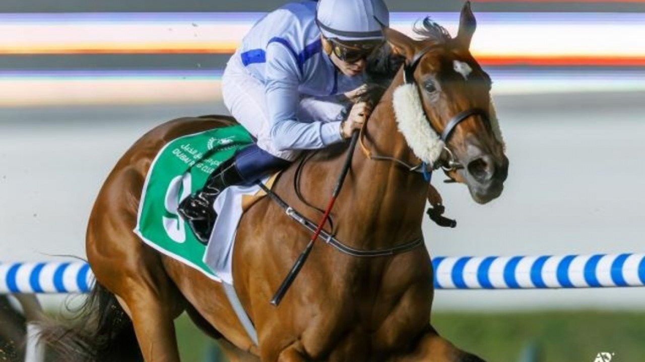 Meydan Magic Continues With Card Highlighted By Mile Image 1