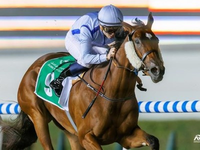 Meydan Magic Continues With Card Highlighted By Mile Image 1