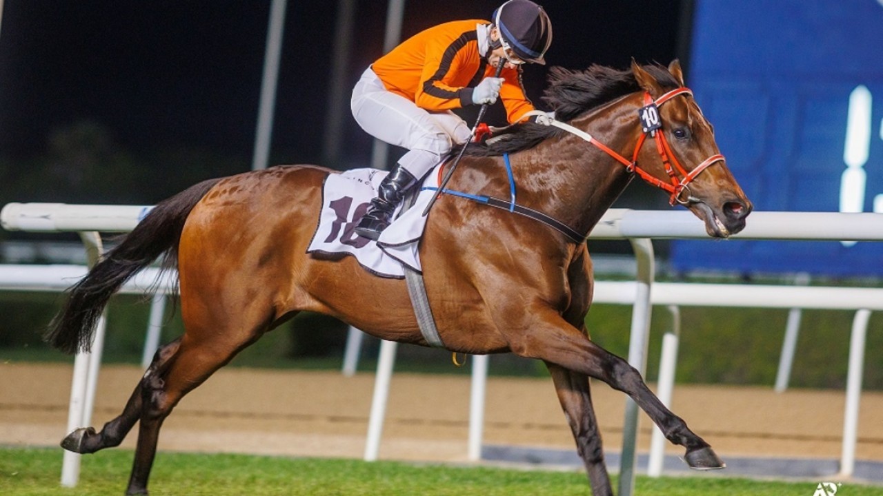 Herholdt Meydan Double Heralds End To Two Decade Drought Image 1