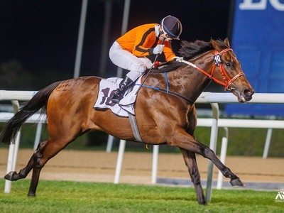 Herholdt Meydan Double Heralds End To Two Decade Drought Image 1
