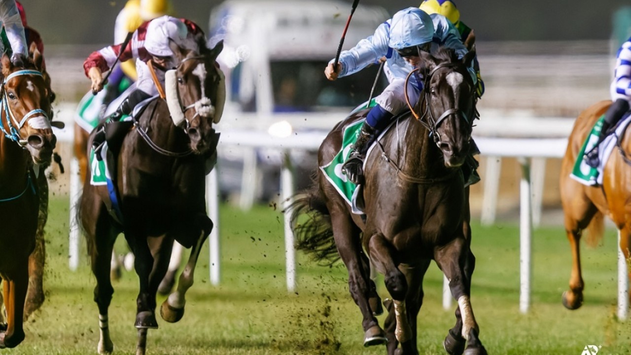 Mayaadeen And Rayig Look To Add To Jebel Ali Success Image 2