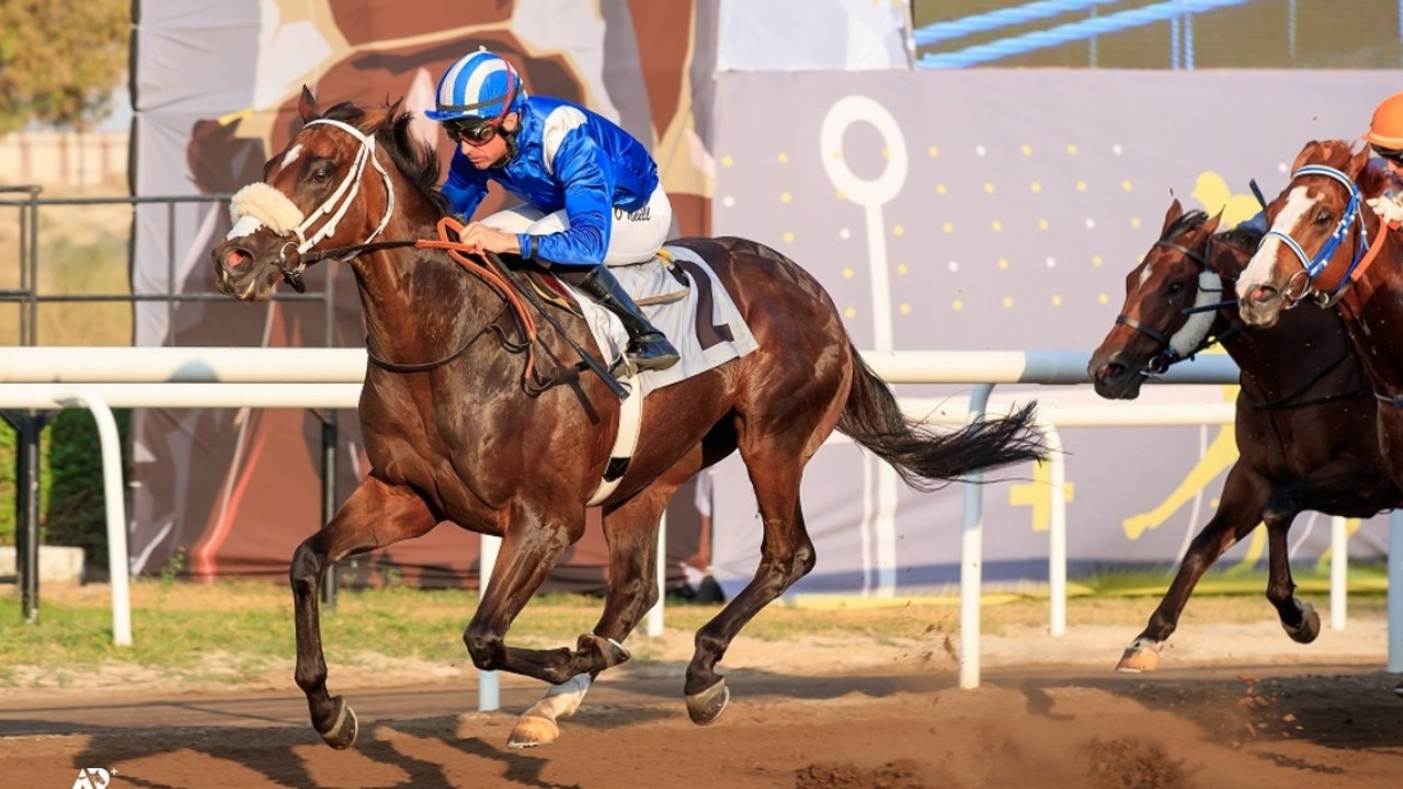 Mayaadeen And Rayig Look To Add To Jebel Ali Success Image 1