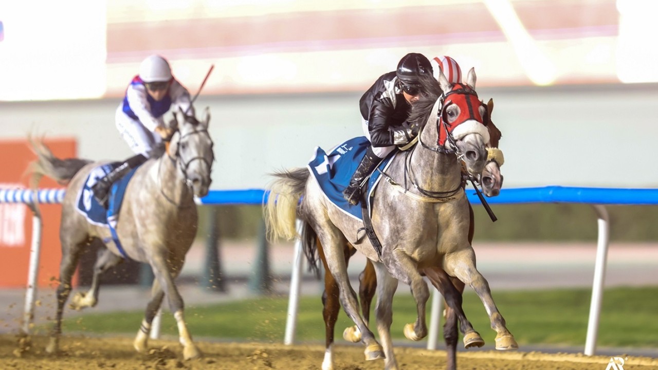 Oertel's Dual Group Winner Tilts For Third In Al Ruwais Image 1