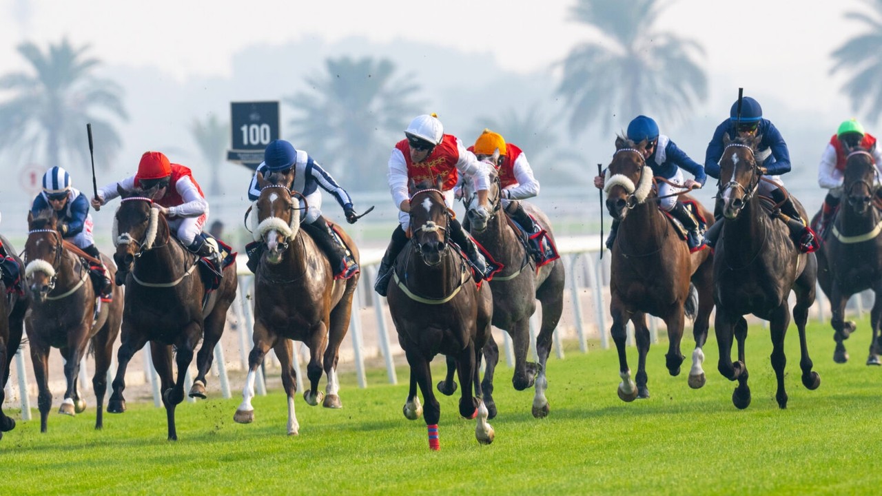 Crown Prince's Cup To Be Conquered By Covex Kid, Lucander ... Image 1