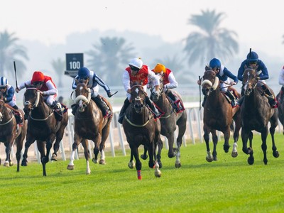 Crown Prince's Cup To Be Conquered By Covex Kid, Lucander ... Image 1