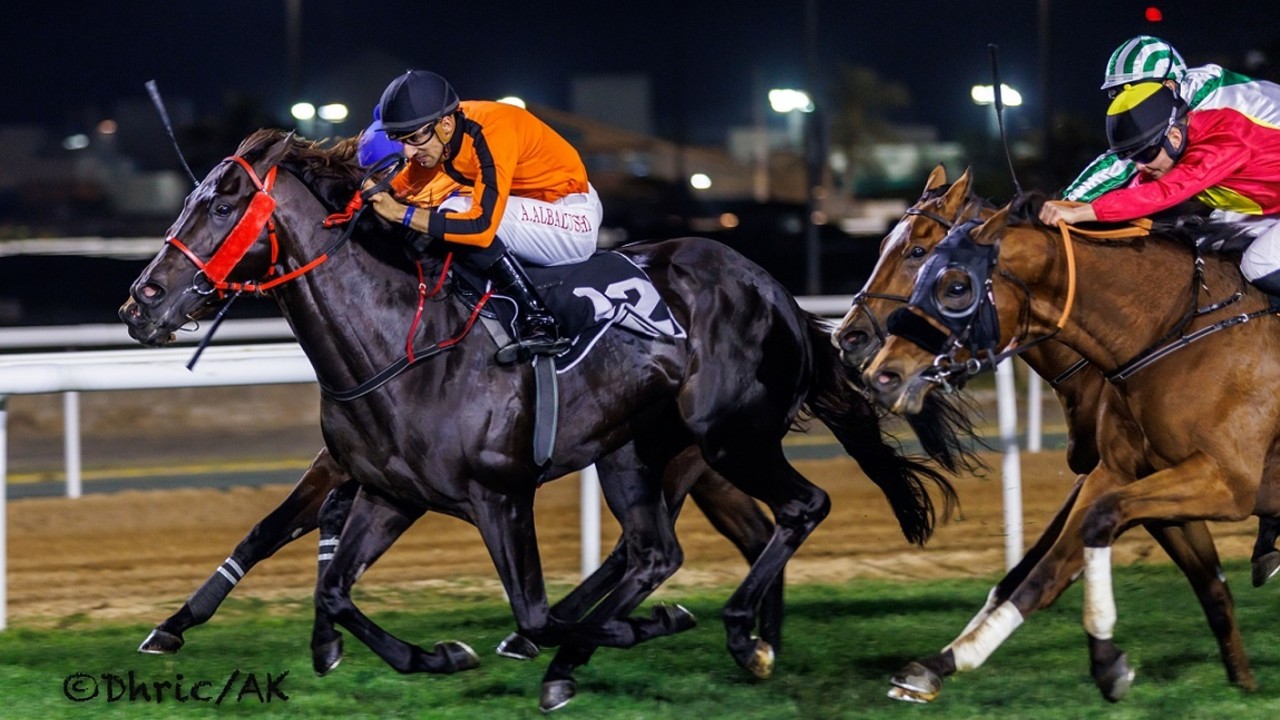 Zucchini To Star While Maidens Look To Break In Meydan Image 2