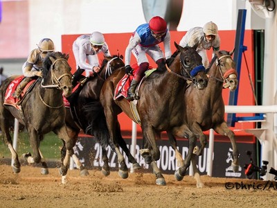 Dettori And Country Grammer Hoping For Perfect Saudi ... Image 1