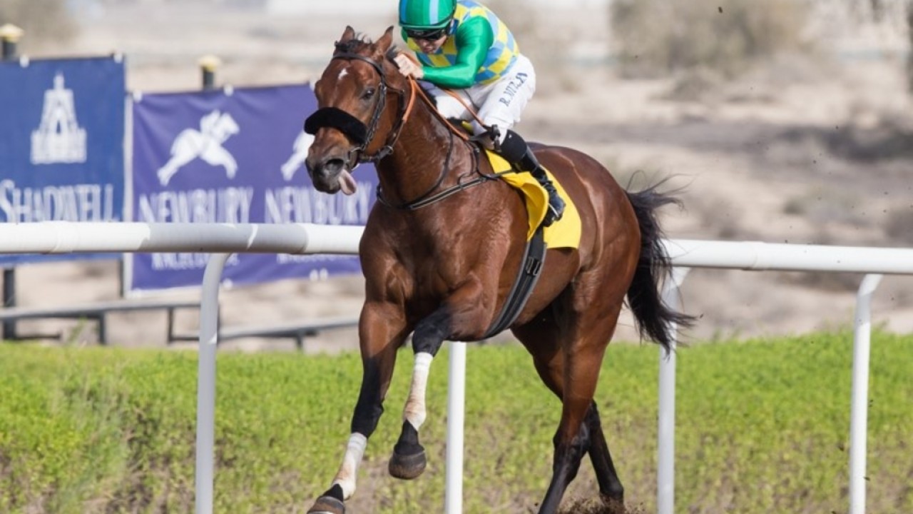 Bhupat Seemar's Ambition For Jebel Ali No Secret Image 1