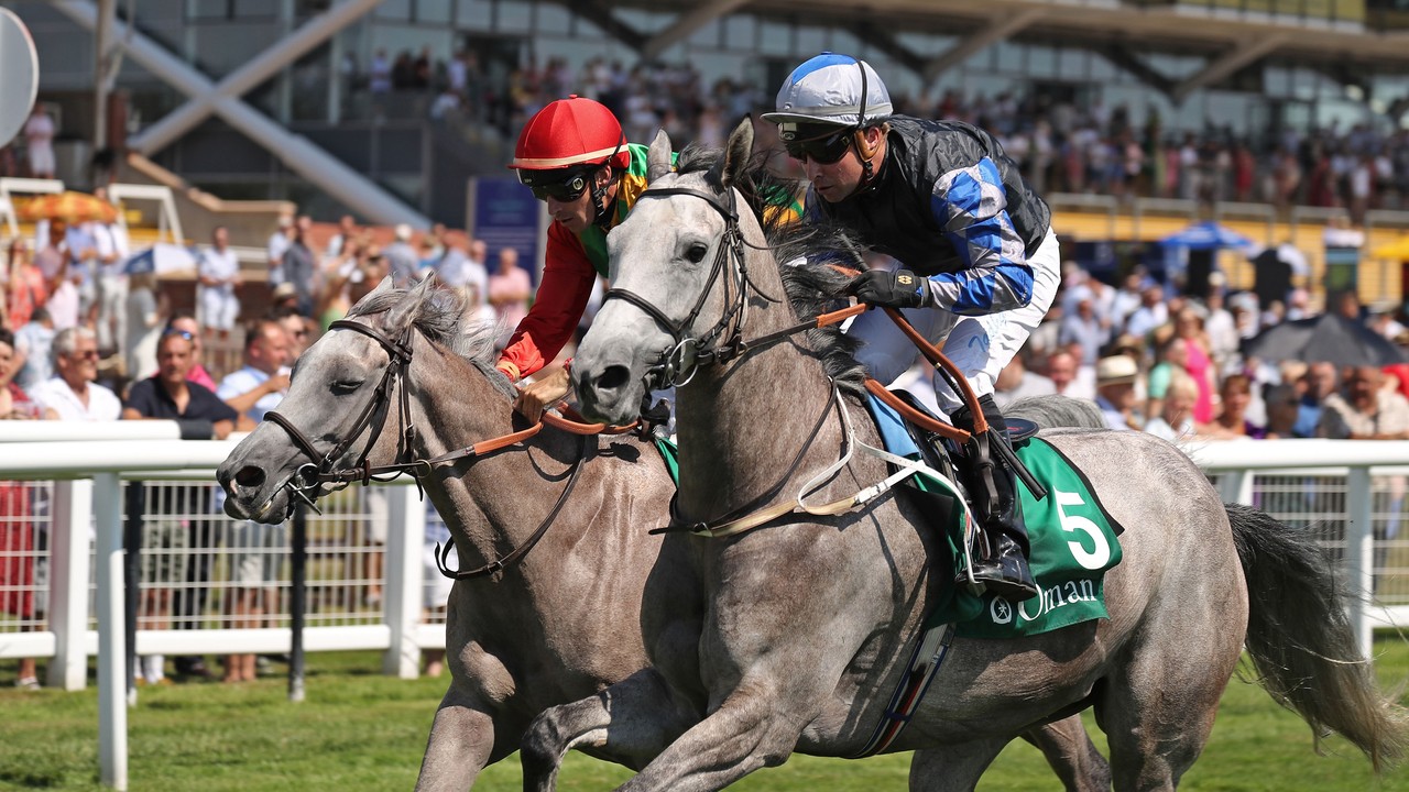 World's Most Valuable Race Partners With Equine MediRecord Image 1