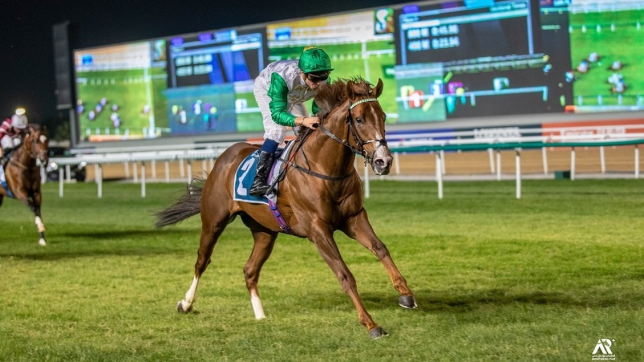 Rating Rise Led By Undefeated In UAE Al Dasim Image 1