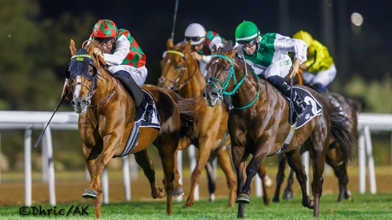 Yas Racing’s Somoud is back to retain President’s Cup Image 1