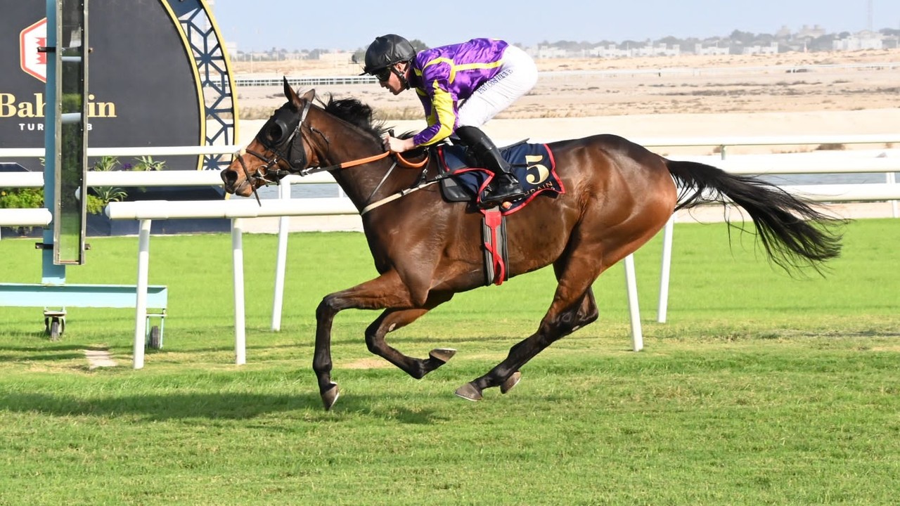 Turf Series Ends But Bahrain Proves A Great Success Image 1