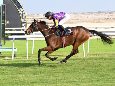 Turf Series Ends But Bahrain Proves A Great Success Image 1
