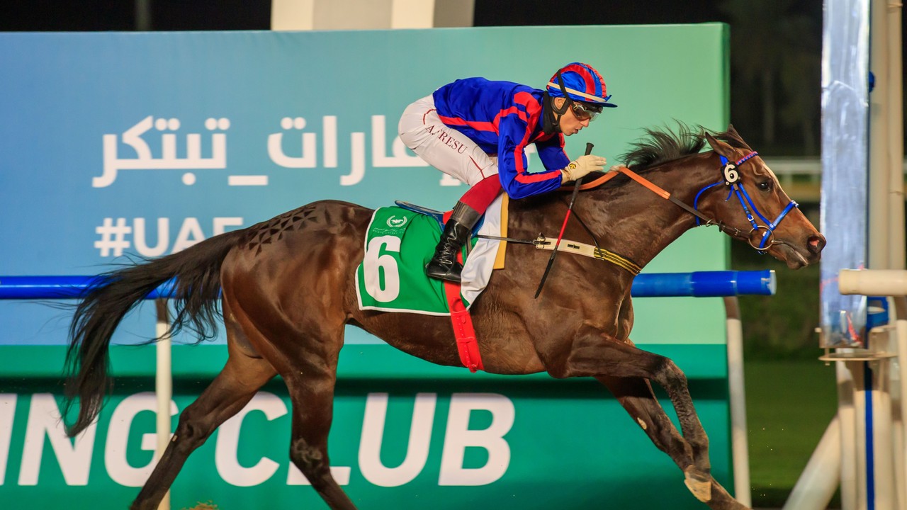 Gr.3 Al Shindagha Sprint Winner Meraas Heads For Riyadh ... Image 3