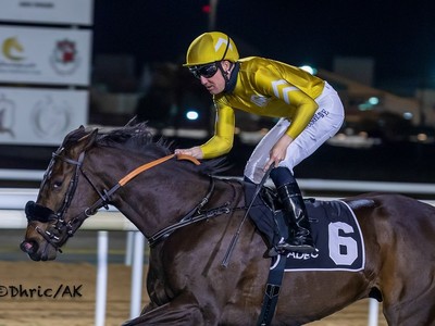 Bhupat’s Remorse Out To Bring Home The Saudi Cup Image 1