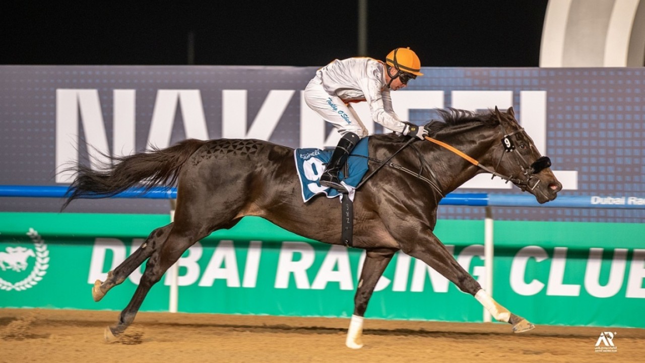 Bhupat’s Remorse Out To Bring Home The Saudi Cup Image 2